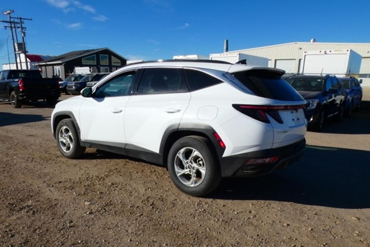 2024 Hyundai Tucson Trend AWD w/Htd Leather, pano S/R, NAV, BUC - Photo #8