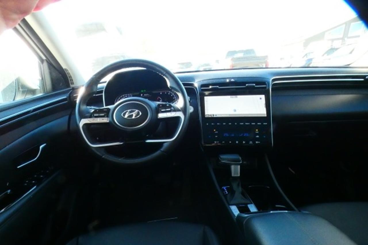2024 Hyundai Tucson Trend AWD w/Htd Leather, pano S/R, NAV, BUC - Photo #12