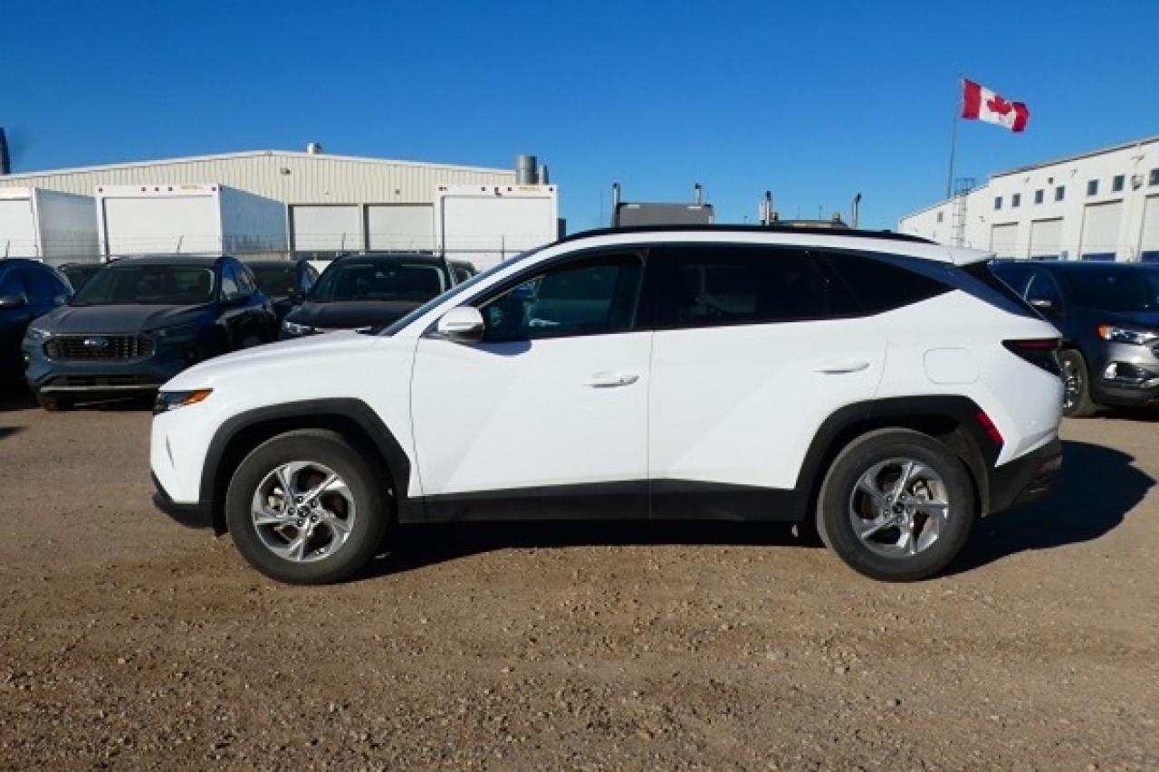 2024 Hyundai Tucson Trend AWD w/Htd Leather, pano S/R, NAV, BUC