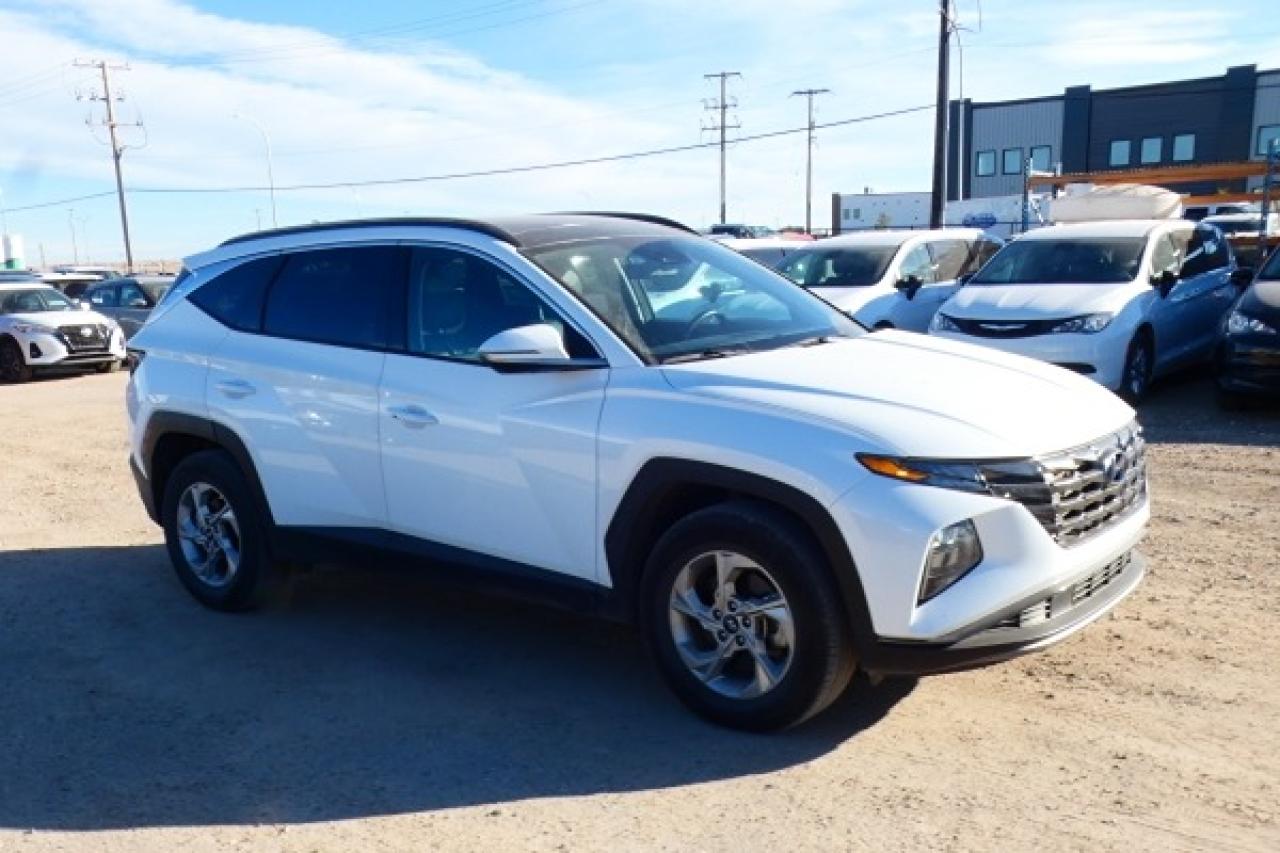 2024 Hyundai Tucson Trend AWD w/Htd Leather, pano S/R, NAV, BUC - Photo #4