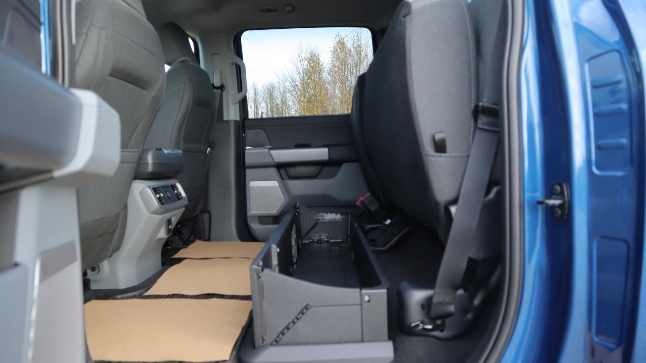 2025 Ford F-150 XLT Photo5