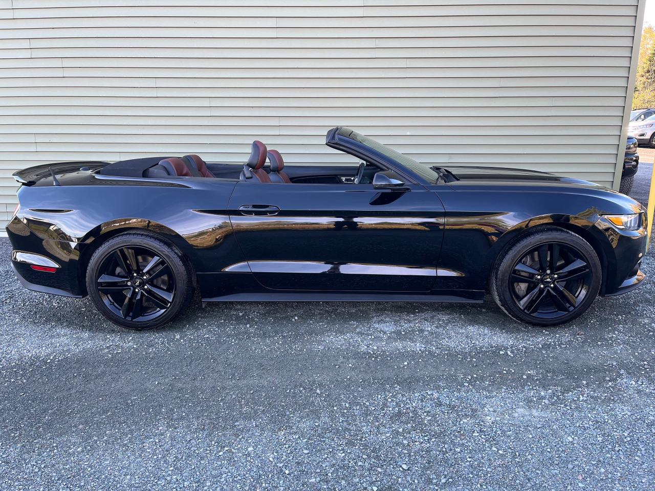 2016 Ford Mustang 2DR CONV ECOBOOST PREMIUM - Photo #4