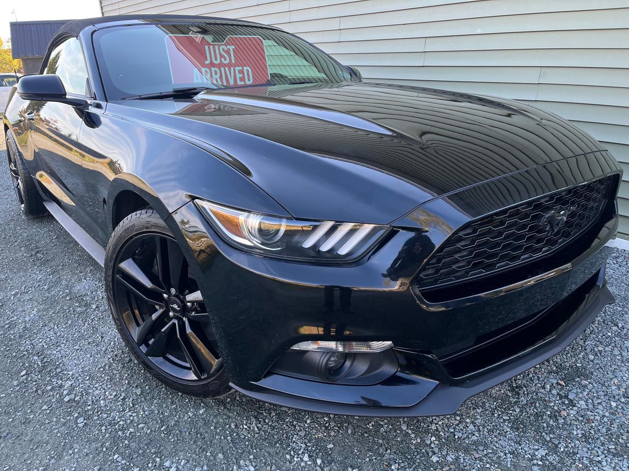 Used 2016 Ford Mustang 2DR CONV ECOBOOST PREMIUM for sale in Hilden, NS