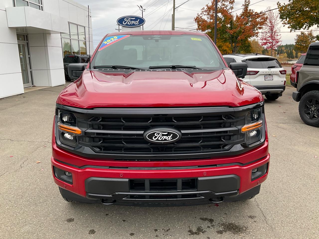 2025 Ford F-150 XLT Photo5