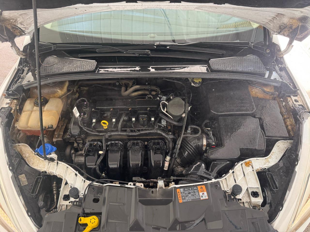 2016 Ford Focus SE, WELL MAINTAINED, ONLY 114KMS, CERTIFIED - Photo #17