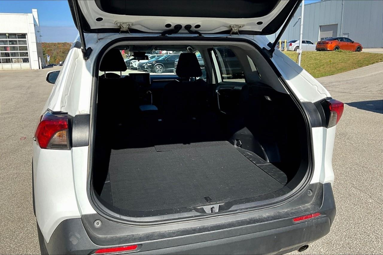 2023 Toyota RAV4 LE Photo