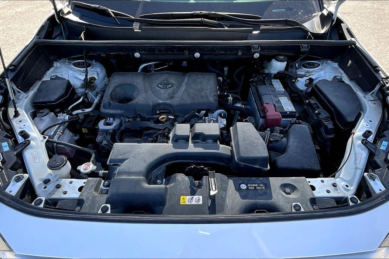 2023 Toyota RAV4 LE Photo