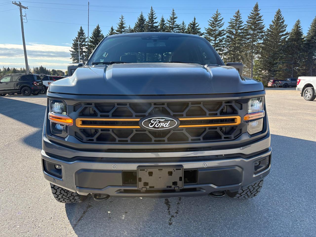 2025 Ford F-150 Tremor 4WD SuperCrew 5.5' Box Photo