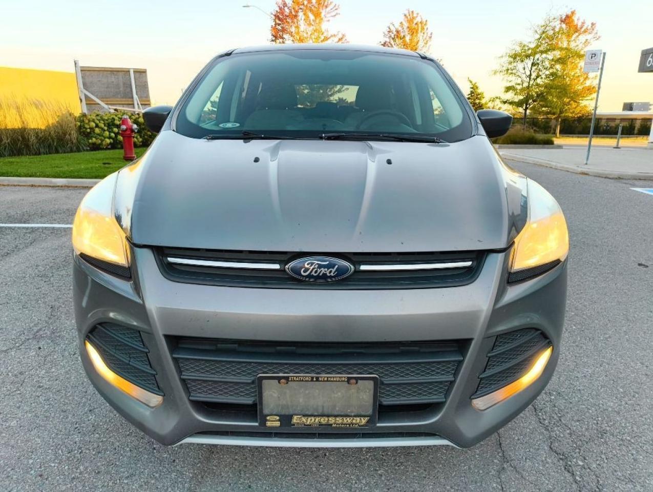 2013 Ford Escape SE 4dr Front-wheel Drive Automatic Photo