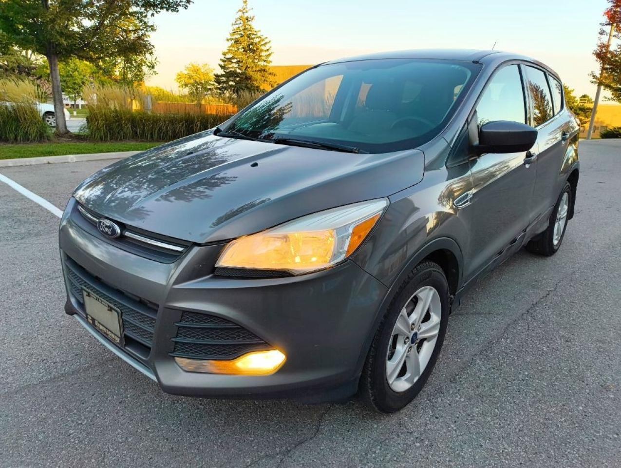 2013 Ford Escape SE 4dr Front-wheel Drive Automatic Photo0
