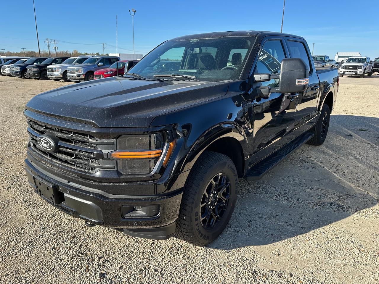 New 2025 Ford F-150 XLT 4WD SuperCrew 5.5' Box 302A for sale in Elie, MB
