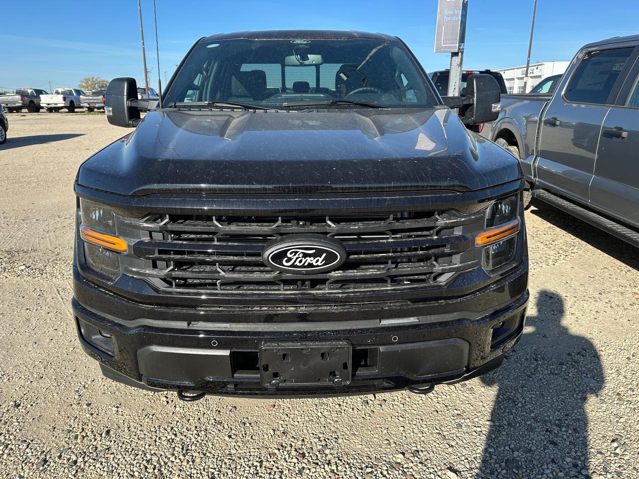 2025 Ford F-150 XLT 4WD SuperCrew 5.5' Box 302A Photo