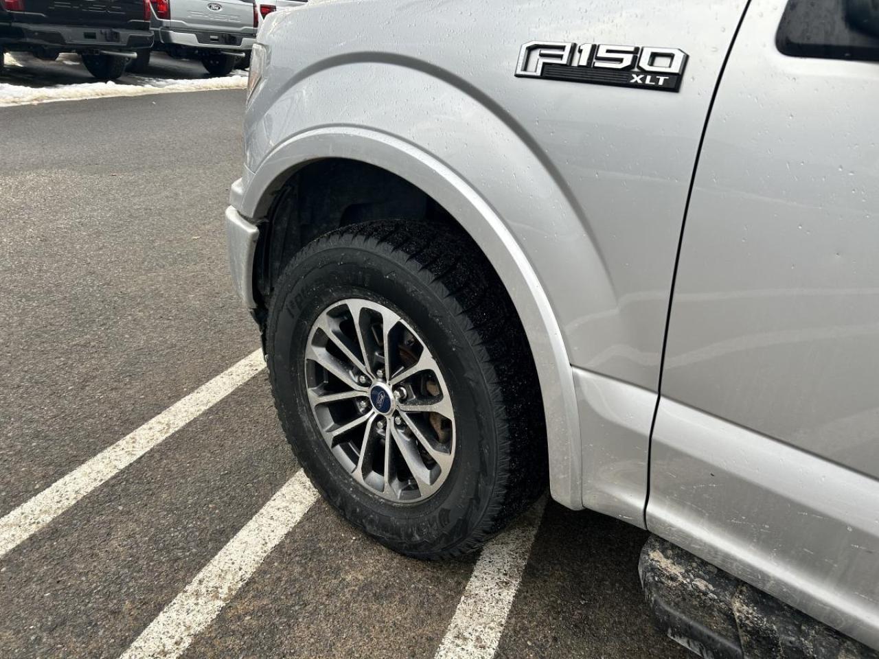 2019 Ford F-150 XLT Photo