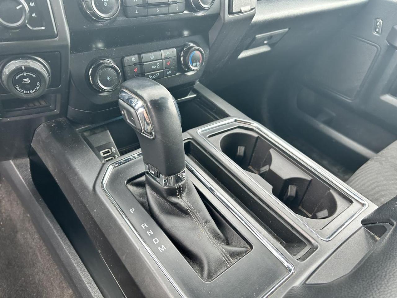 2019 Ford F-150 XLT Photo