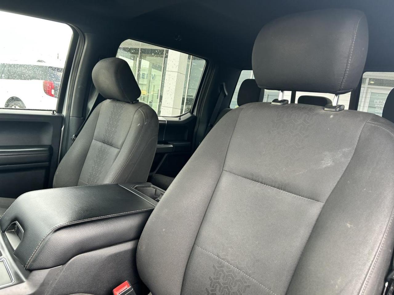 2019 Ford F-150 XLT Photo