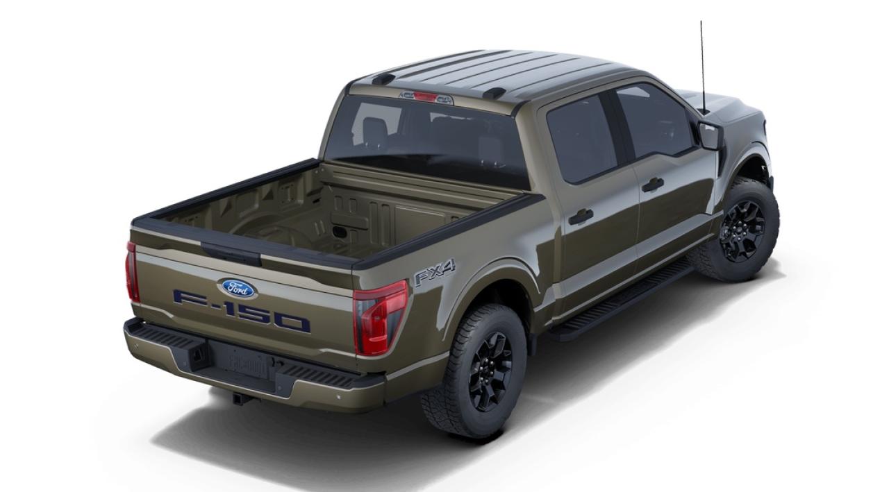 2025 Ford F-150 STX Photo2