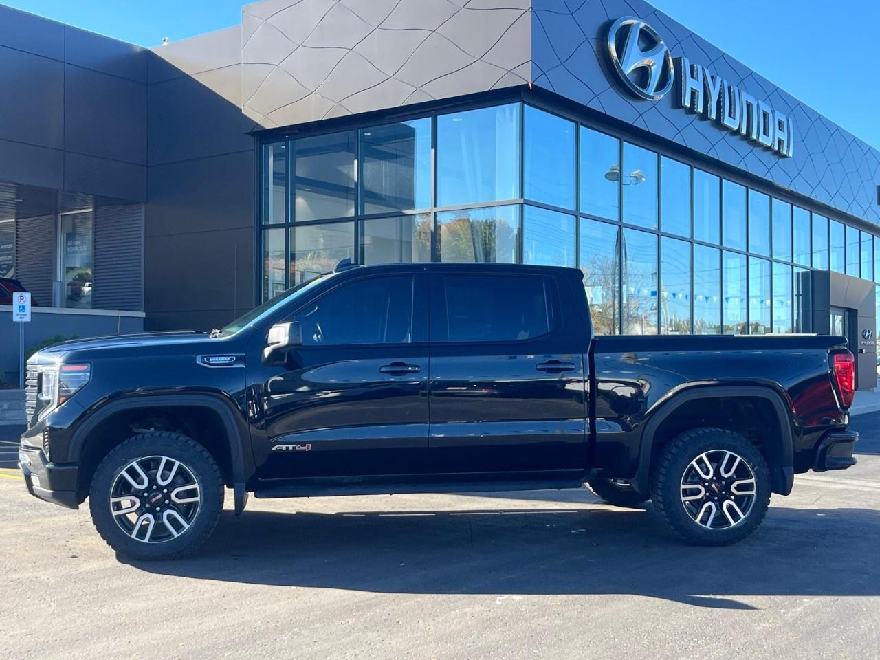 2022 GMC Sierra 1500 Crew Cab Short Box 4-Wheel Drive AT4 Photo2