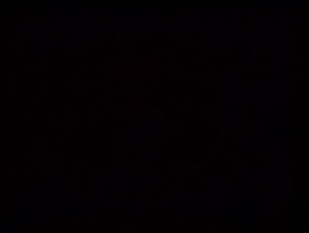 13053473