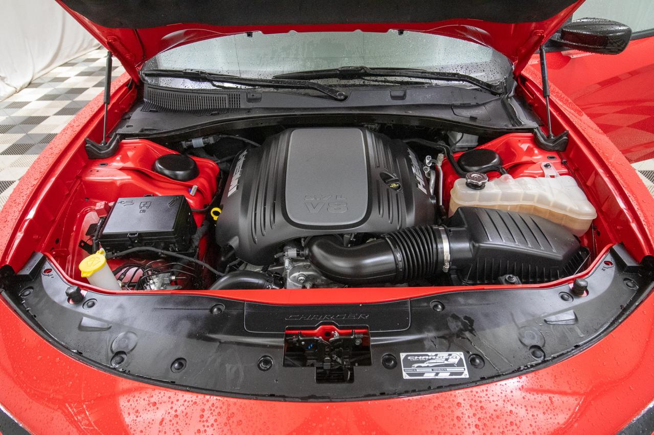 2023 Dodge Charger R/T  Photo5