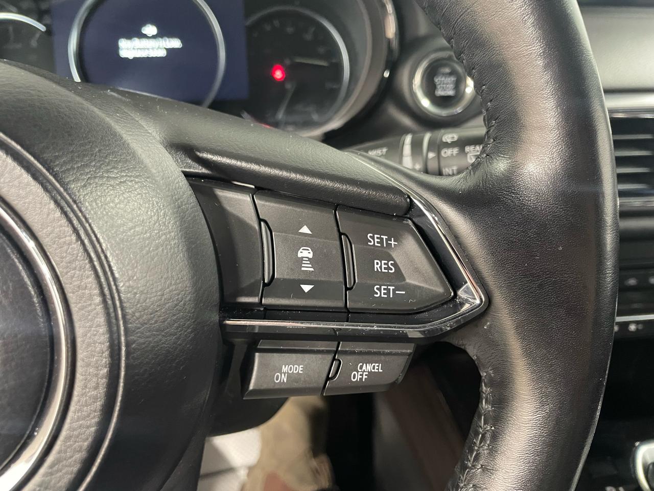 2019 Mazda CX-9 GT Photo16