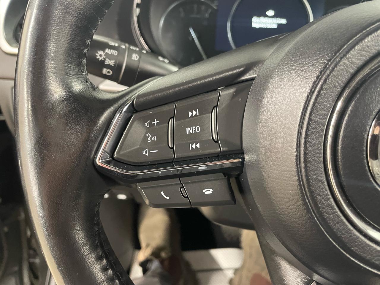2019 Mazda CX-9 GT Photo15