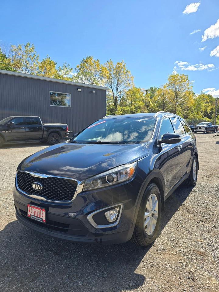 2016 Kia Sorento AWD 4dr 3.3L LX+ 7-Seater - Photo #6
