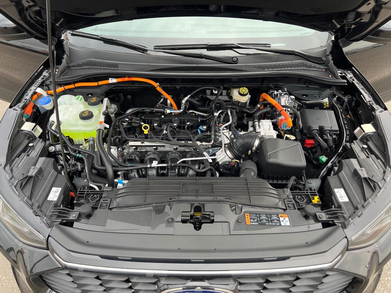 2026 Ford Escape Platinum Photo