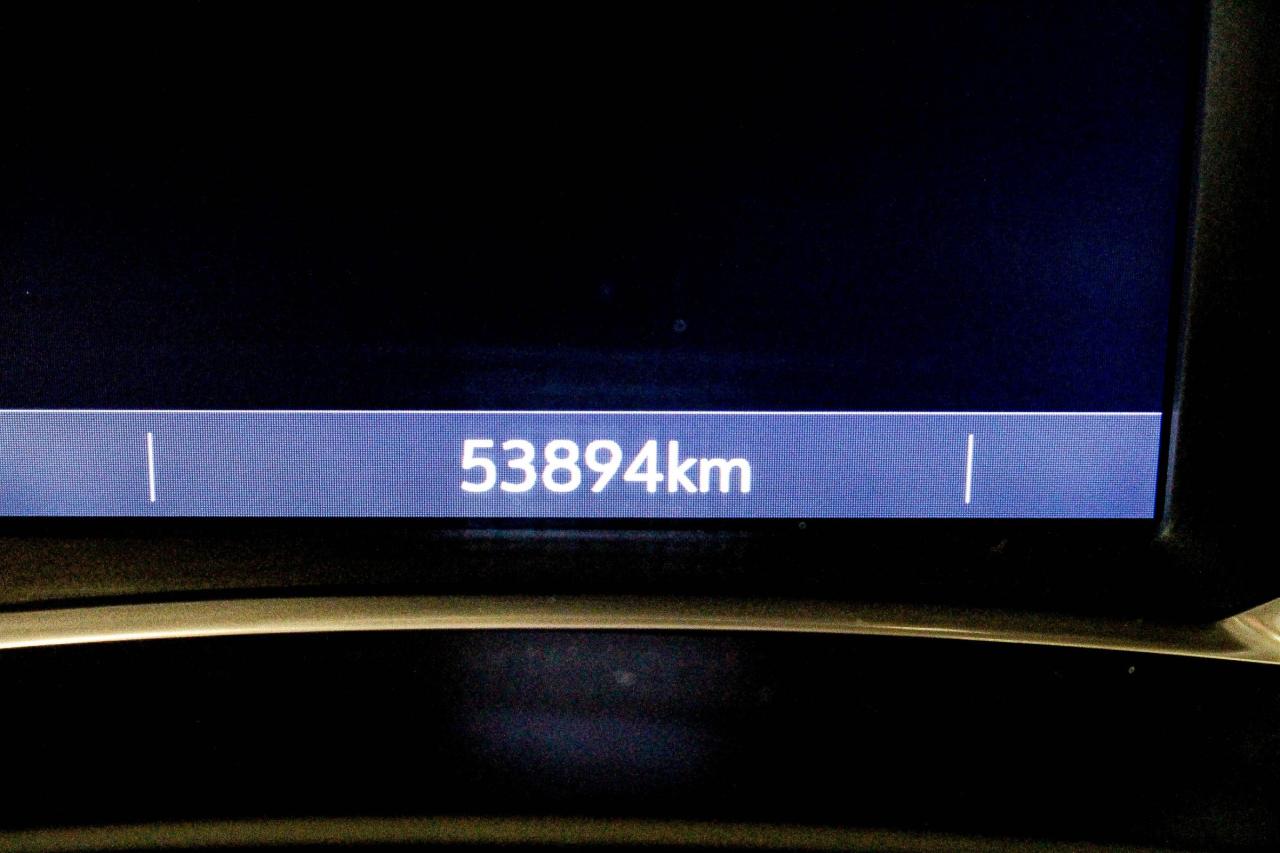 13054334