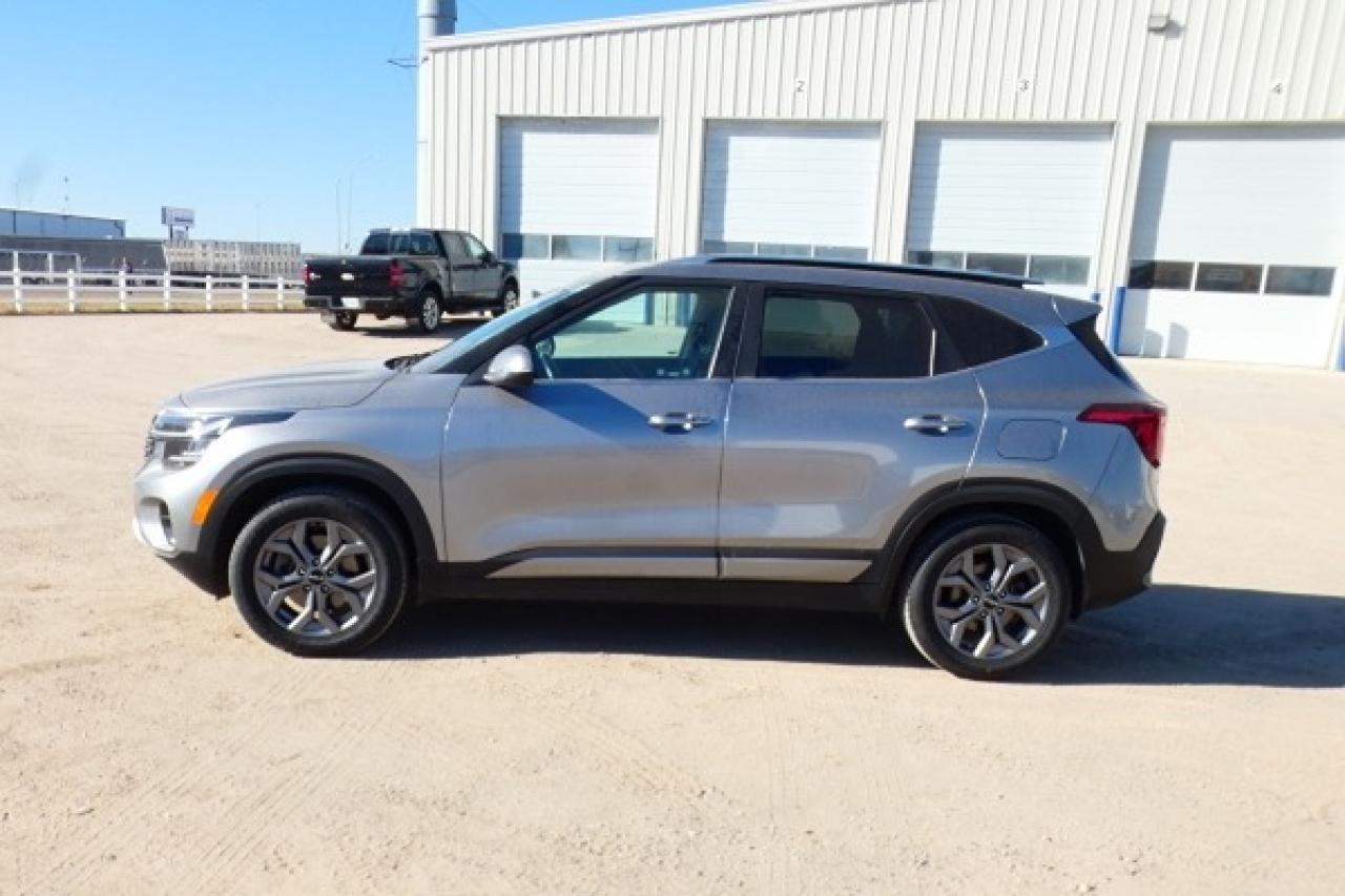 2024 Kia Seltos EX AWD w/Htd Leather, S/R, BUC - Photo #1