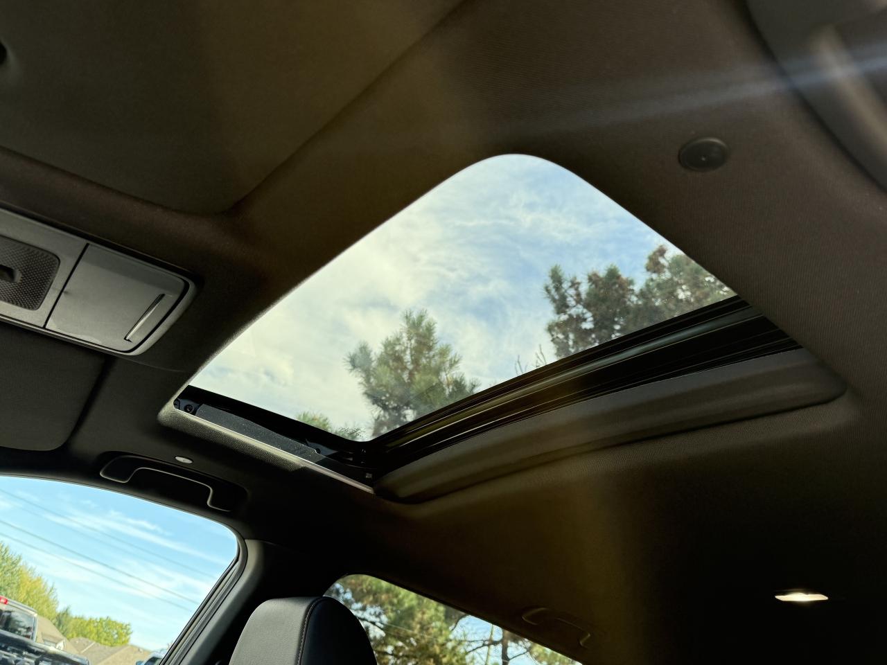 13056302