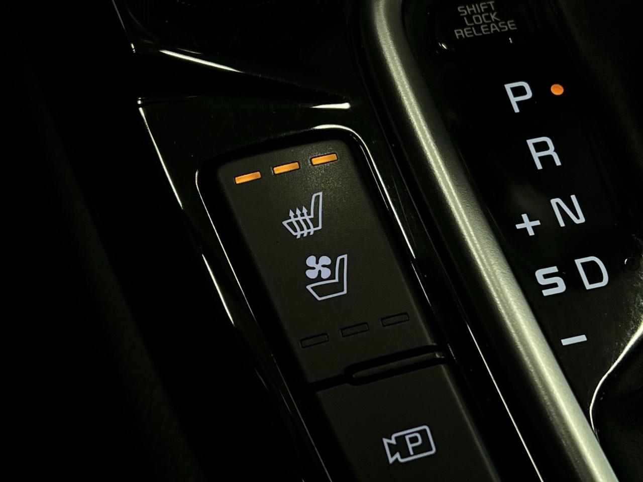 2024 Kia Seltos X-LINE AWD| TURBO| COOLED LEATHER| SUNROOF|CARPLAY Photo