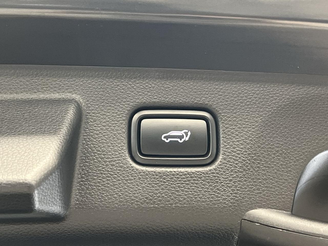 2024 Kia Seltos X-LINE AWD| TURBO| COOLED LEATHER| SUNROOF|CARPLAY Photo