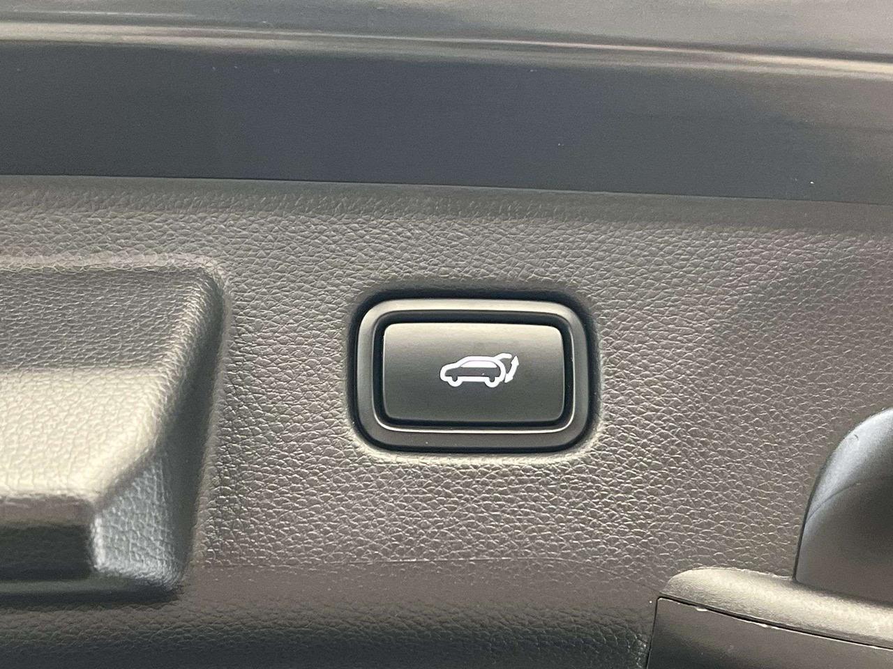 2024 Kia Seltos X-LINE AWD| TURBO| COOLED LEATHER| SUNROOF|CARPLAY Photo
