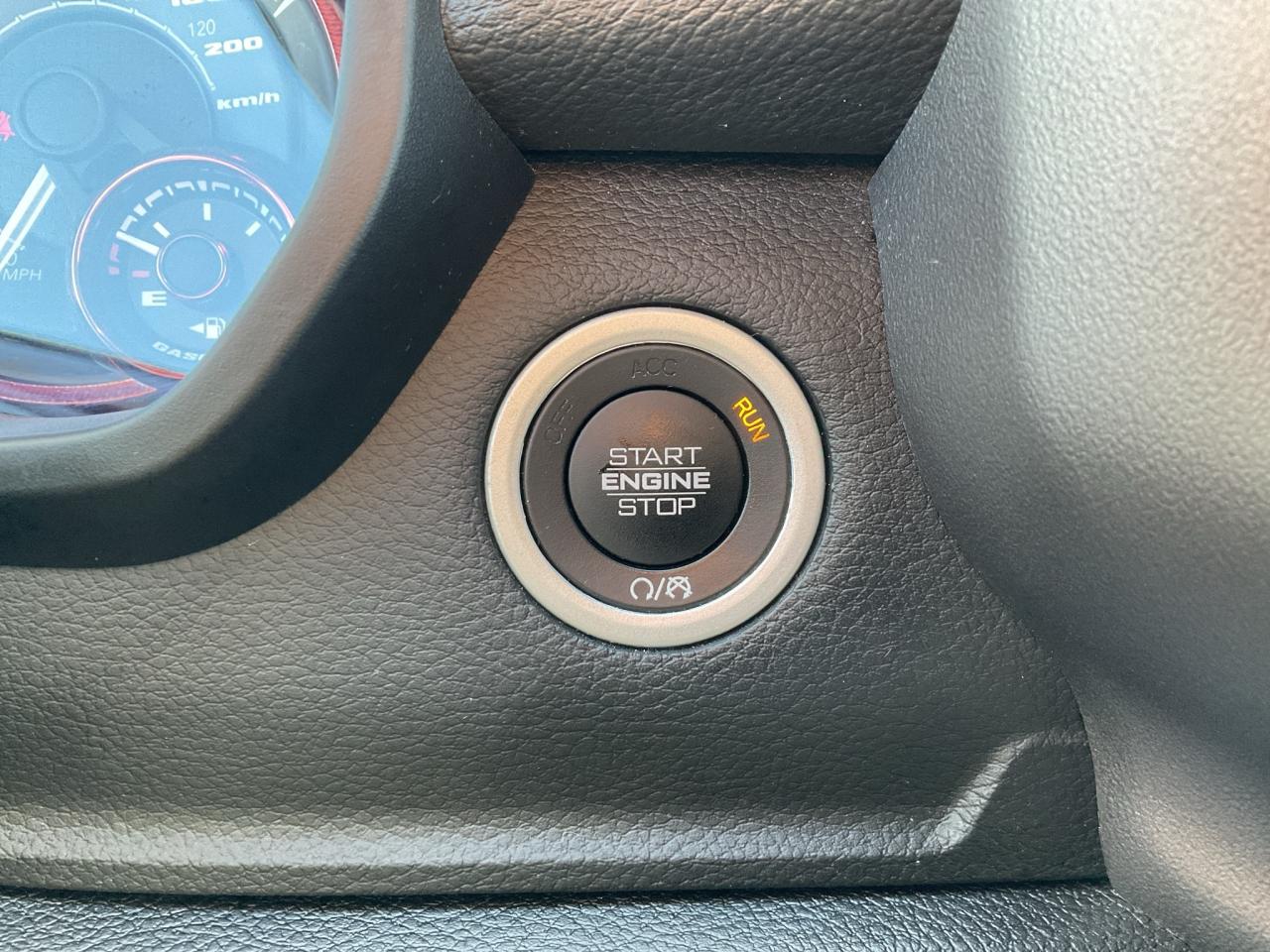 13056419