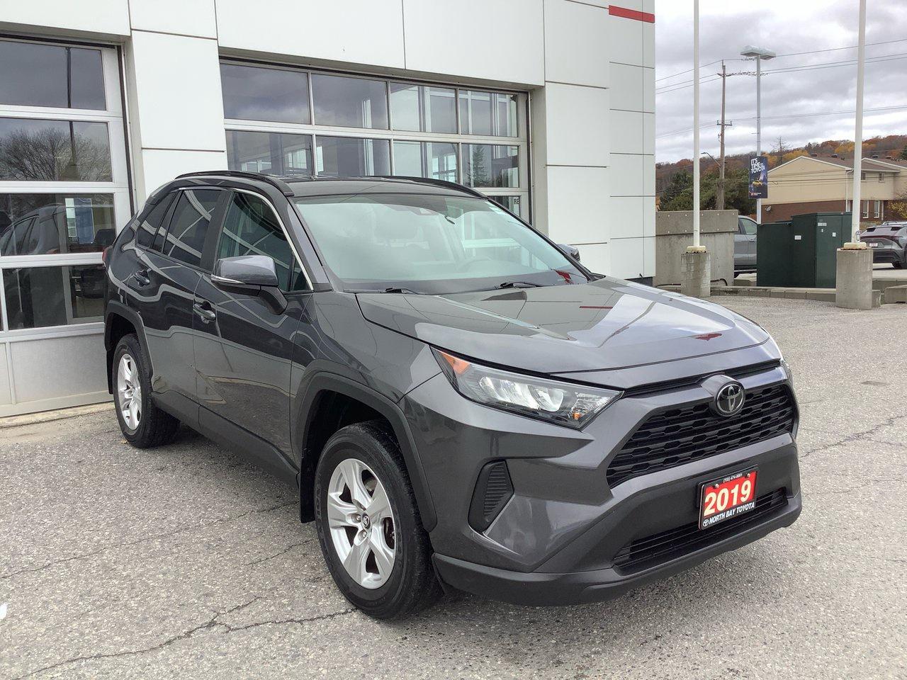 2019 Toyota RAV4 LE Photo