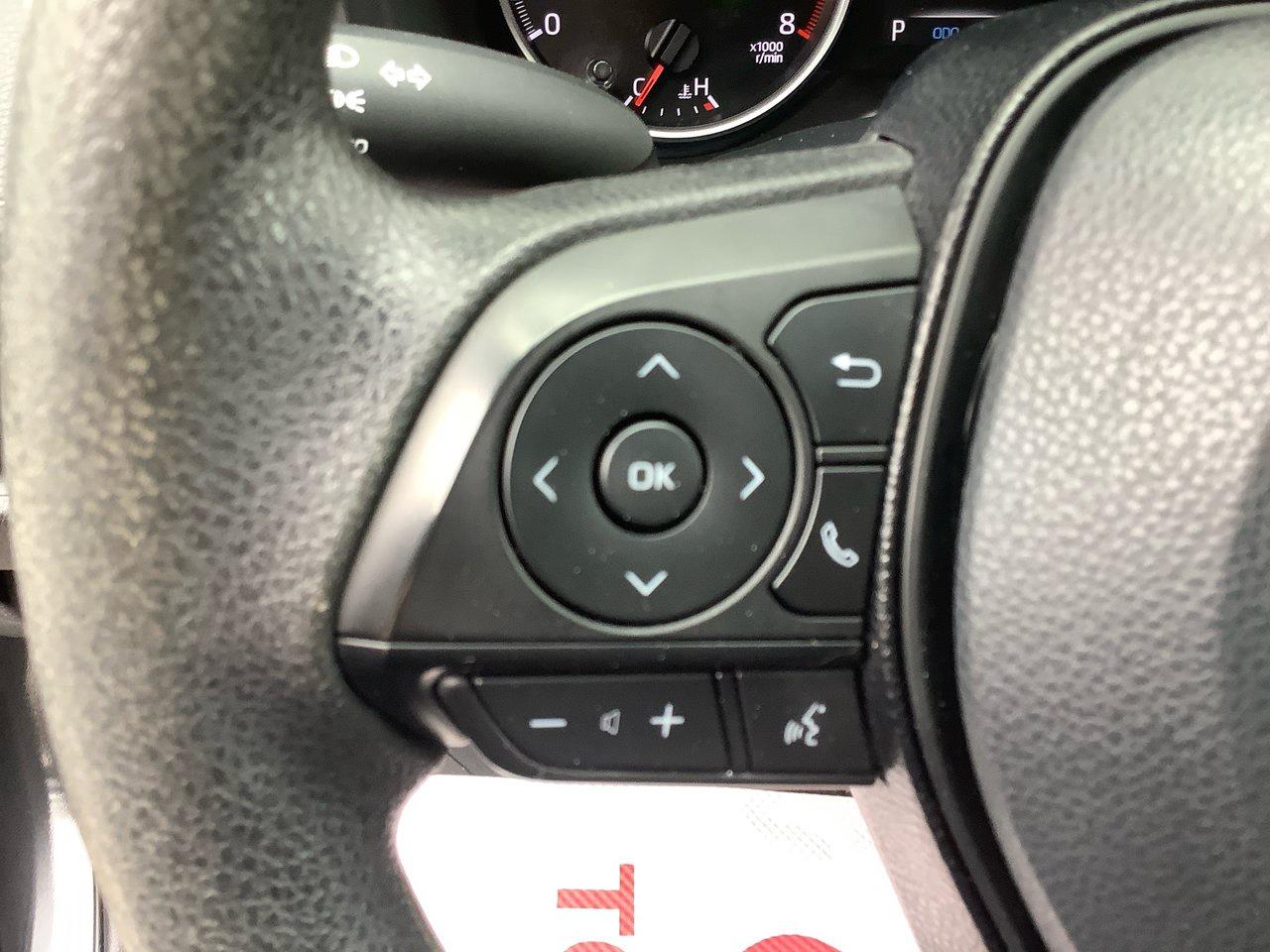 2019 Toyota RAV4 LE Photo