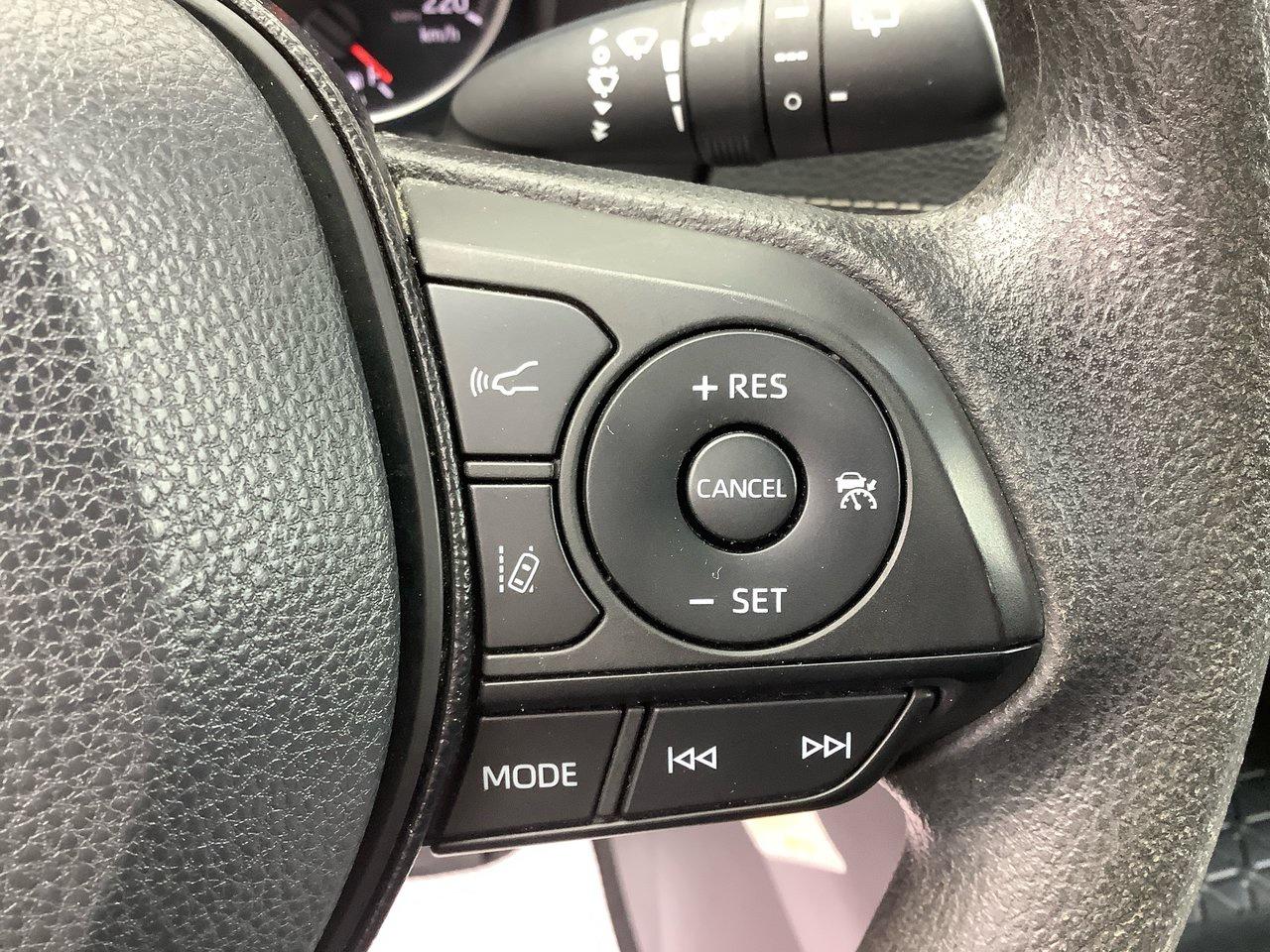 2019 Toyota RAV4 LE Photo