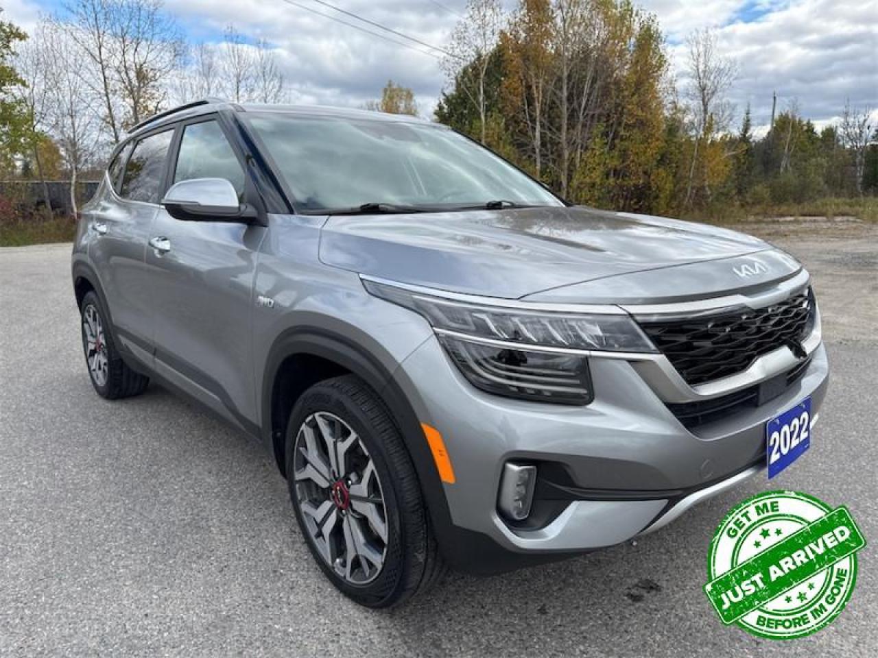 Used 2022 Kia Seltos SX Turbo  Accident Free on Carfax Report - $186 B/W for sale in Timmins, ON