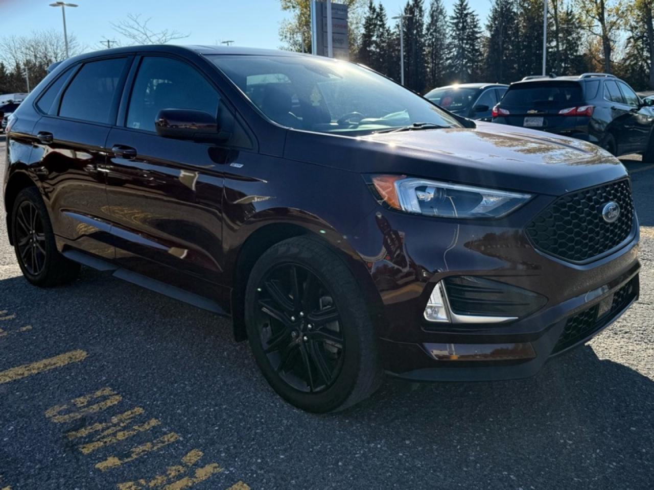 2024 Ford Edge  Photo3