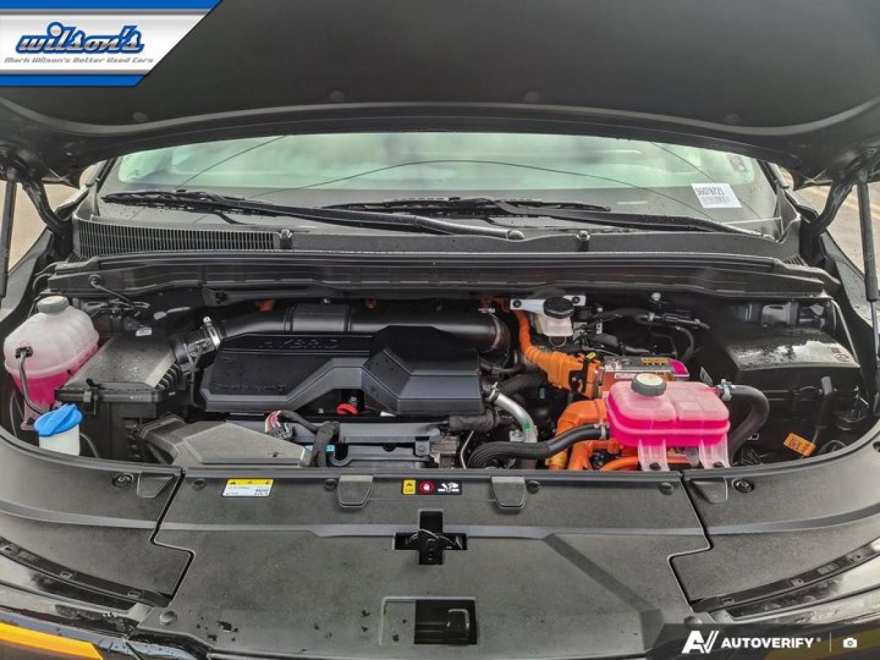 2025 Kia Carnival Hybrid EX | Leather | Nav | Power Seats | Power Sliding Doors | Smart Cruise | CarPlay + Android and More ! Photo