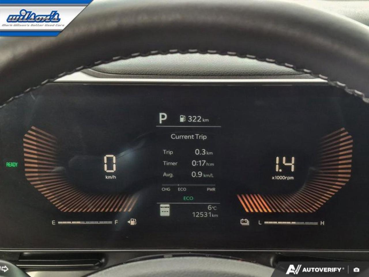 2025 Kia Carnival Hybrid EX | Leather | Nav | Power Seats | Power Sliding Doors | Smart Cruise | CarPlay + Android and More ! Photo