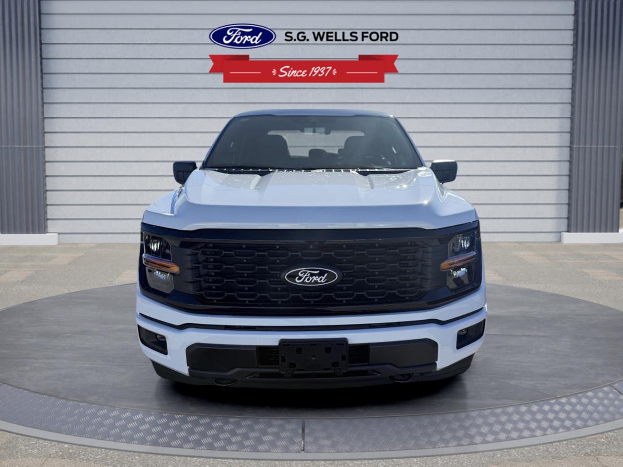 2025 Ford F-150 STX Photo
