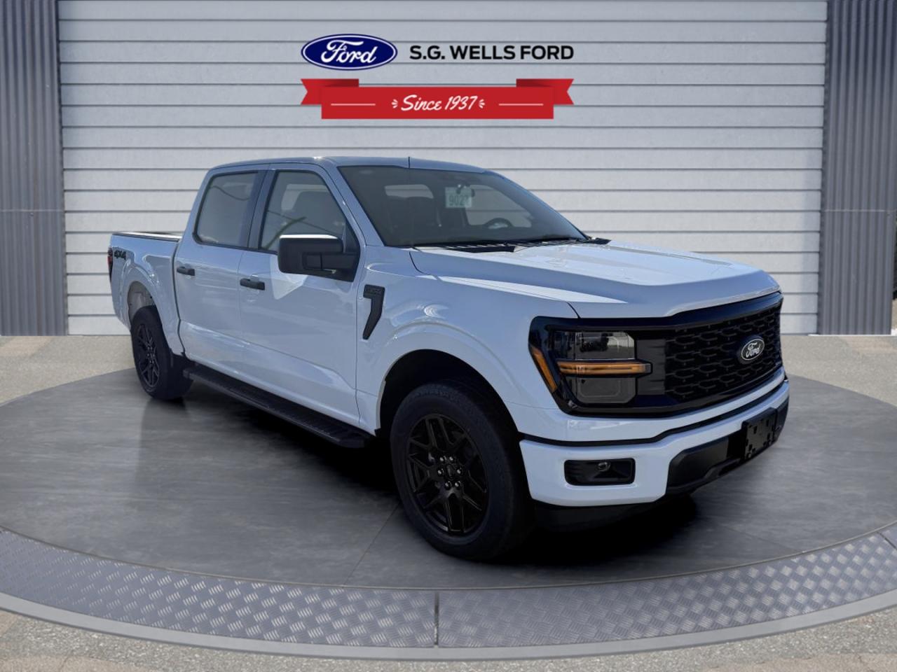 2025 Ford F-150 STX Photo