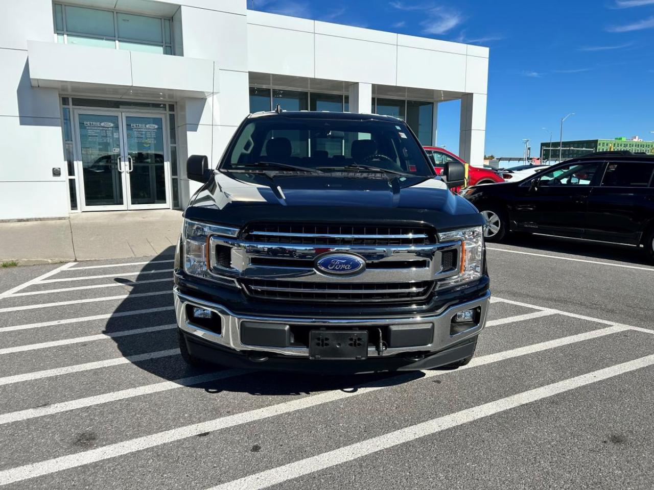 2020 Ford F-150 XLT Photo