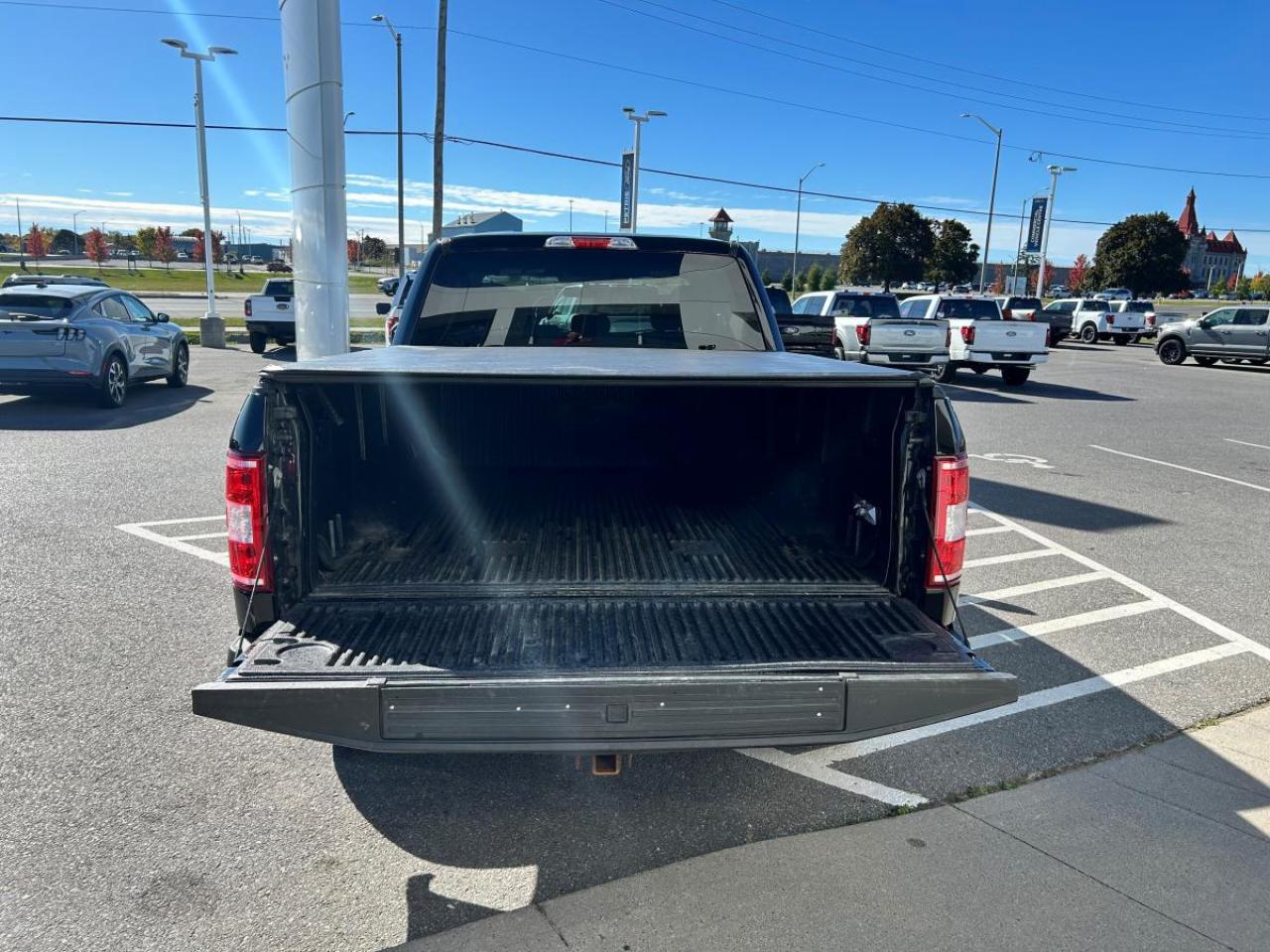 2020 Ford F-150 XLT Photo