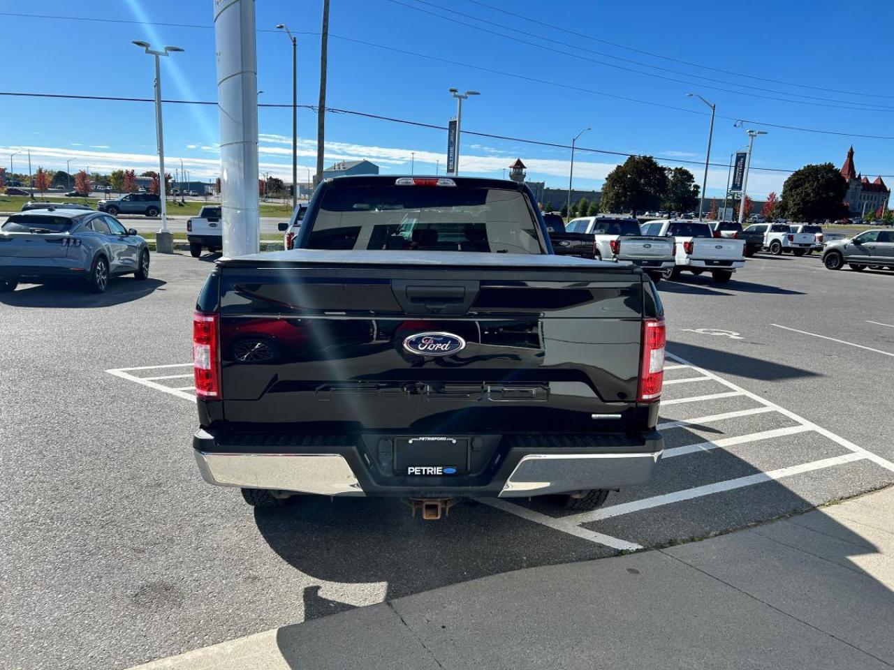 2020 Ford F-150 XLT Photo