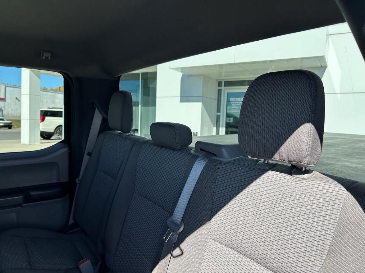 2020 Ford F-150 XLT Photo