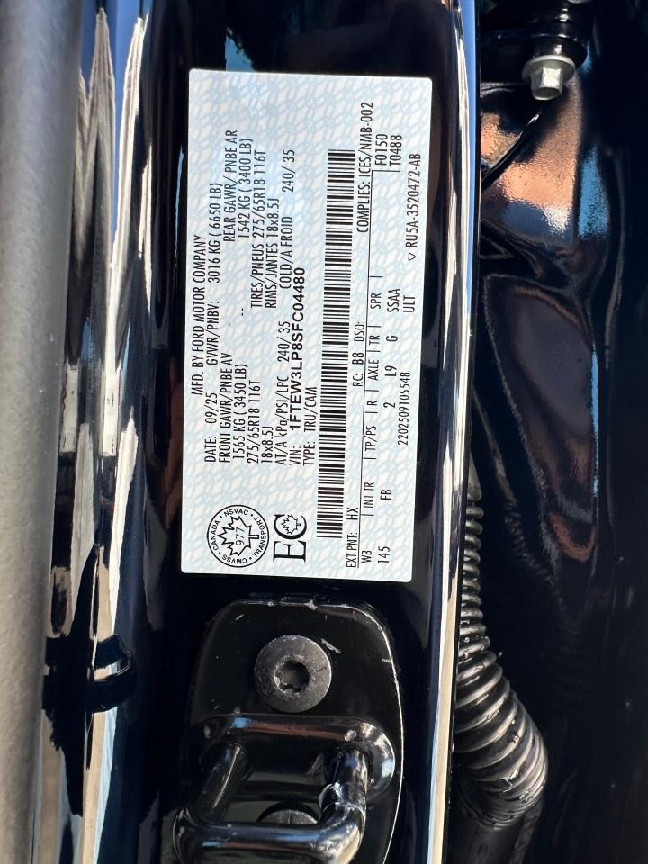 2025 Ford F-150 XLT 4WD SuperCrew 5.5' Box Photo