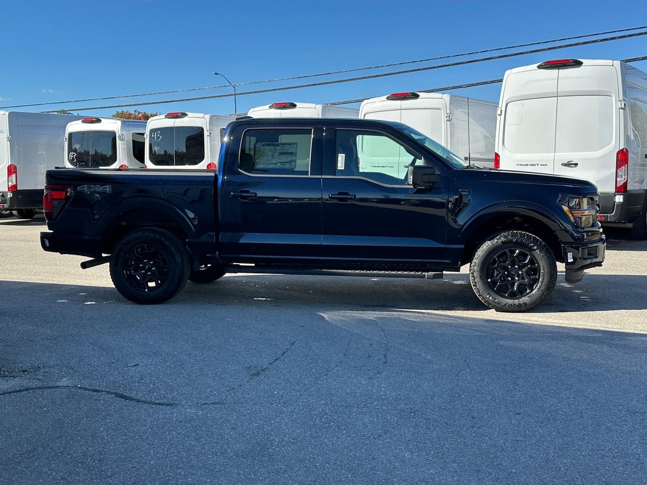 2025 Ford F-150 XLT 4WD SuperCrew 5.5' Box Photo