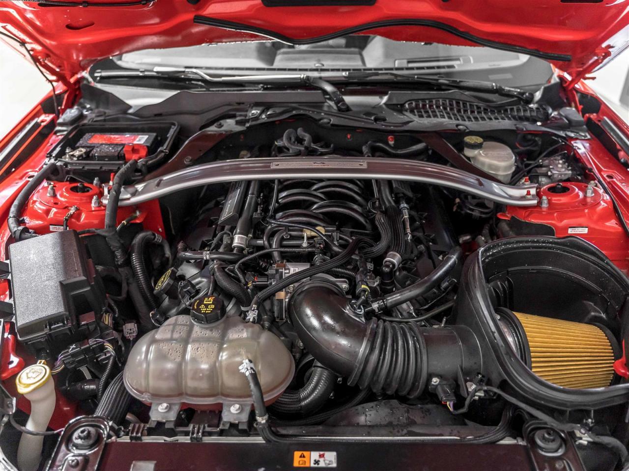 2016 Ford Mustang SHELBY GT350|NAVI|REAR CAM|PERF EXHAUST|LOADED Photo